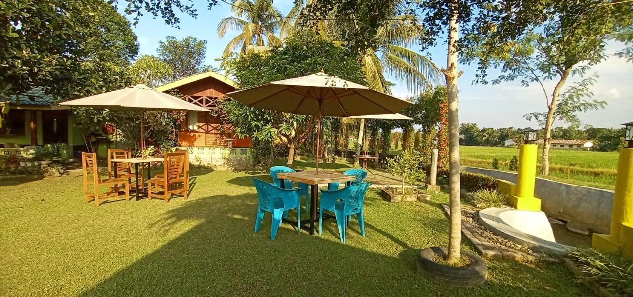 Landbow Green Villa Bukit Lawang Buitenkant foto