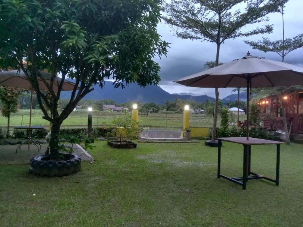 Landbow Green Villa Bukit Lawang Buitenkant foto