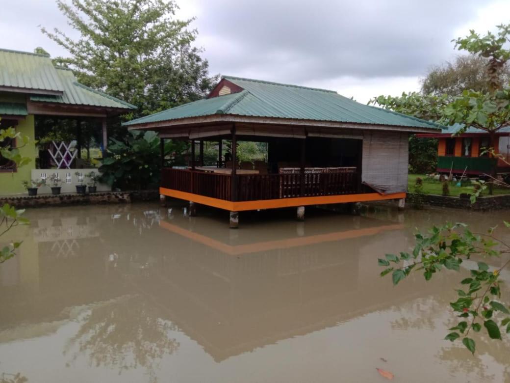 Landbow Green Villa Bukit Lawang Buitenkant foto