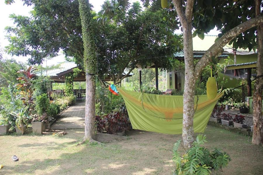 Landbow Green Villa Bukit Lawang Buitenkant foto