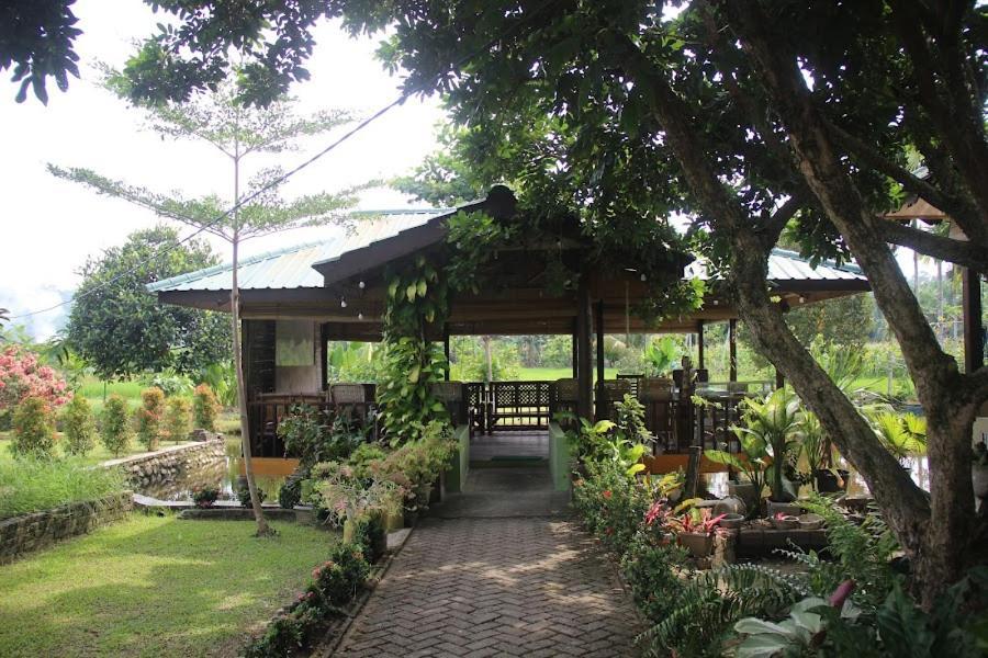 Landbow Green Villa Bukit Lawang Buitenkant foto