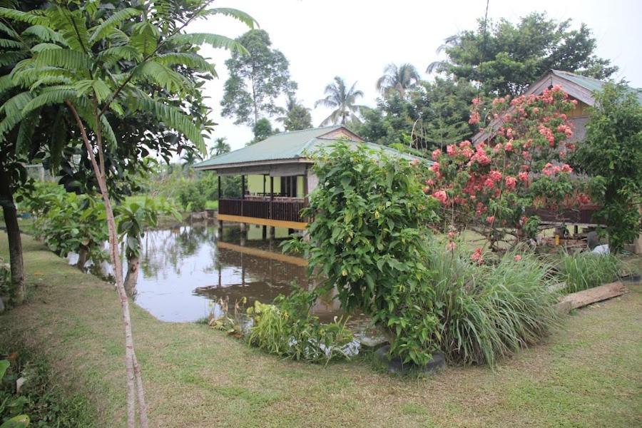 Landbow Green Villa Bukit Lawang Buitenkant foto
