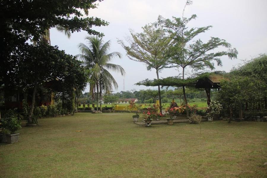 Landbow Green Villa Bukit Lawang Buitenkant foto