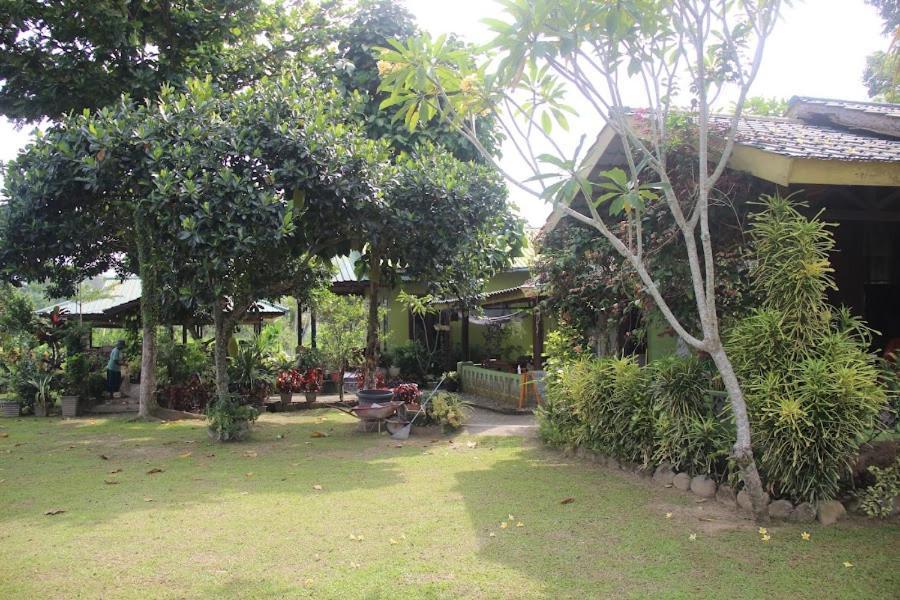Landbow Green Villa Bukit Lawang Buitenkant foto
