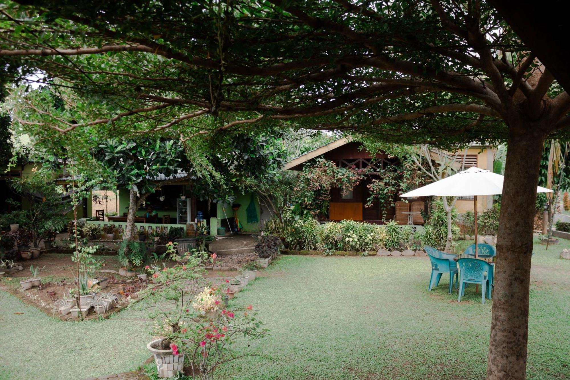 Landbow Green Villa Bukit Lawang Buitenkant foto