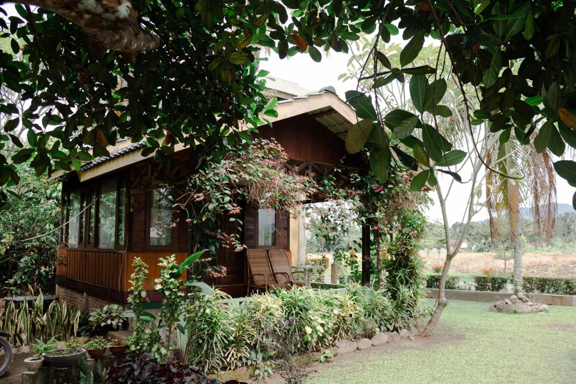 Landbow Green Villa Bukit Lawang Buitenkant foto