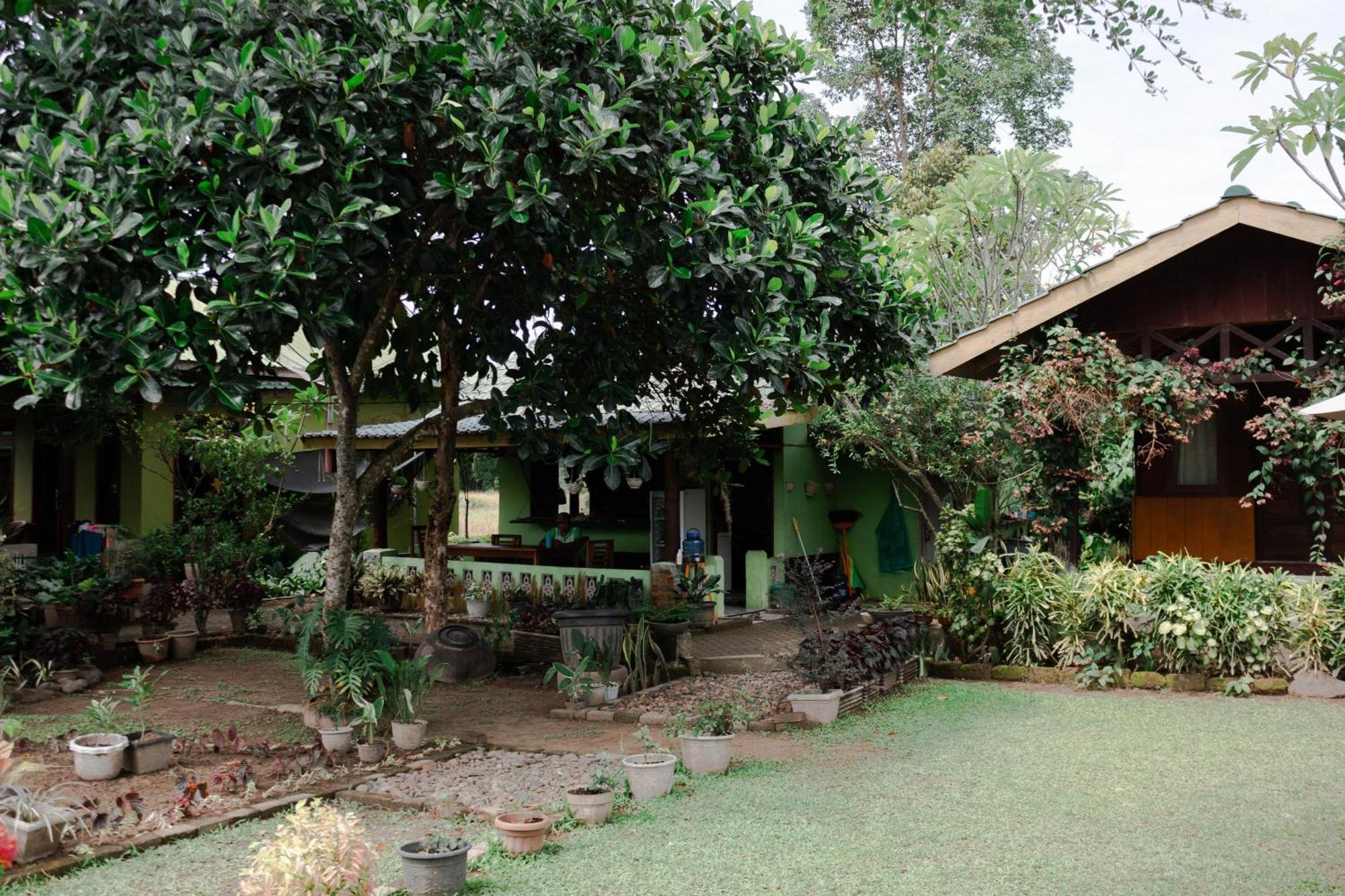 Landbow Green Villa Bukit Lawang Buitenkant foto