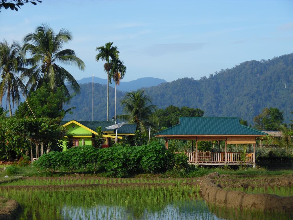 Landbow Green Villa Bukit Lawang Buitenkant foto