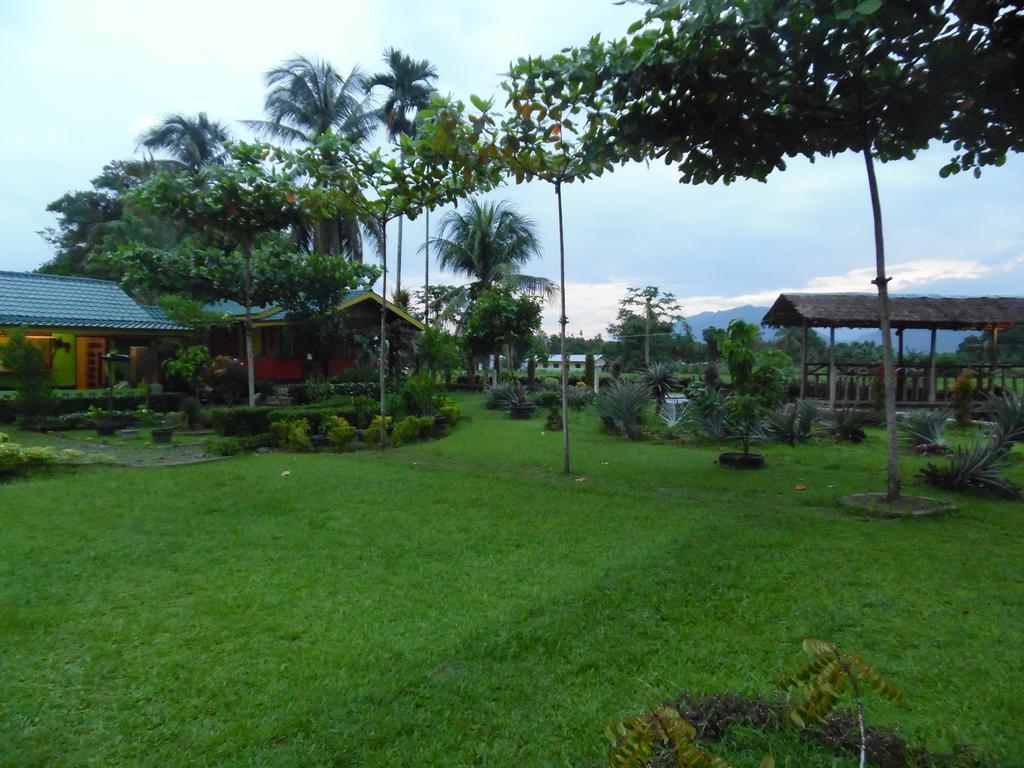 Landbow Green Villa Bukit Lawang Buitenkant foto