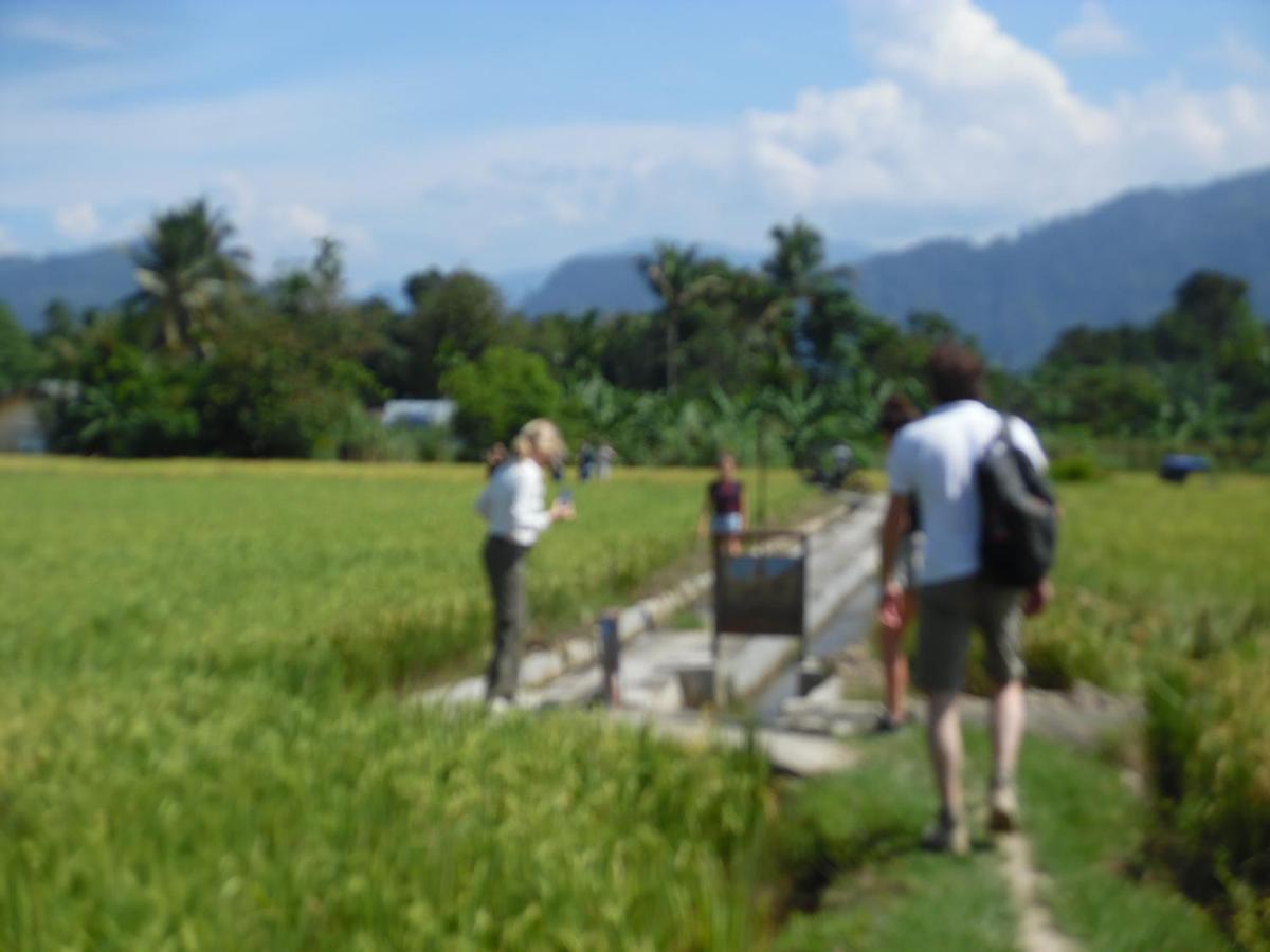Landbow Green Villa Bukit Lawang Buitenkant foto