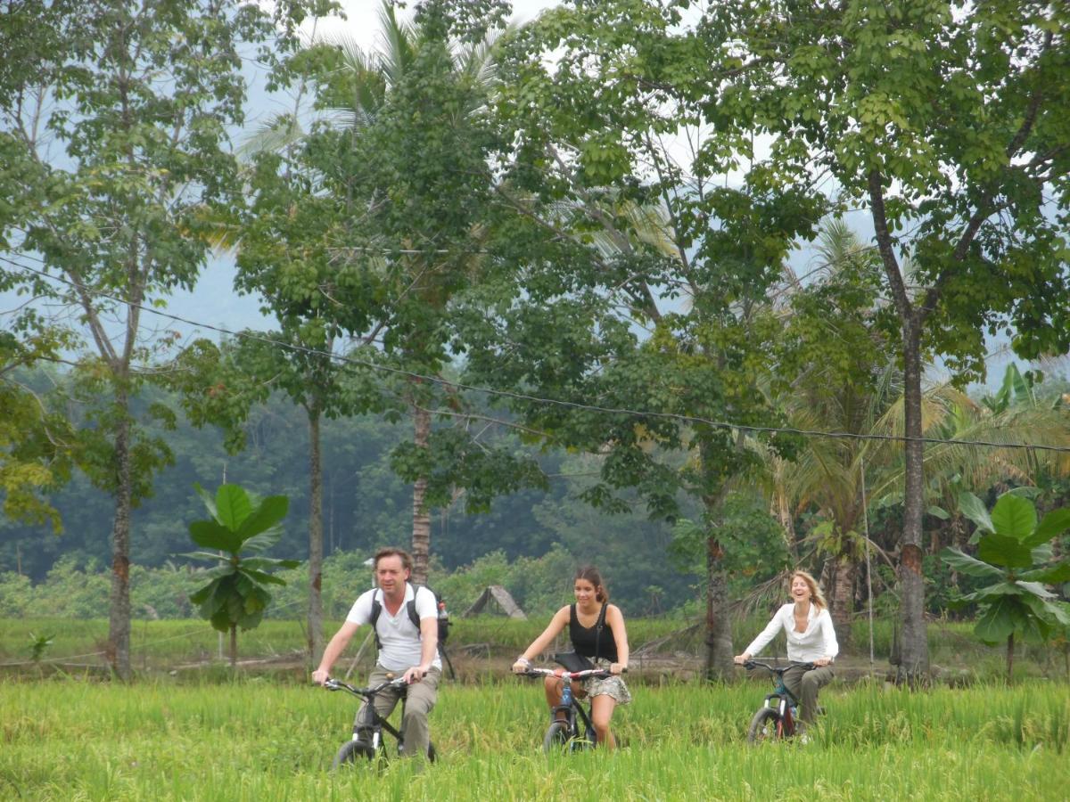 Landbow Green Villa Bukit Lawang Buitenkant foto