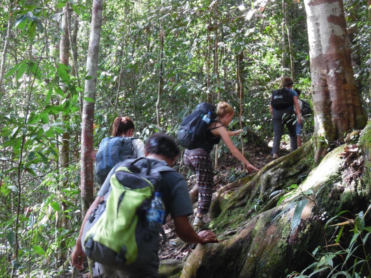 Landbow Green Villa Bukit Lawang Buitenkant foto