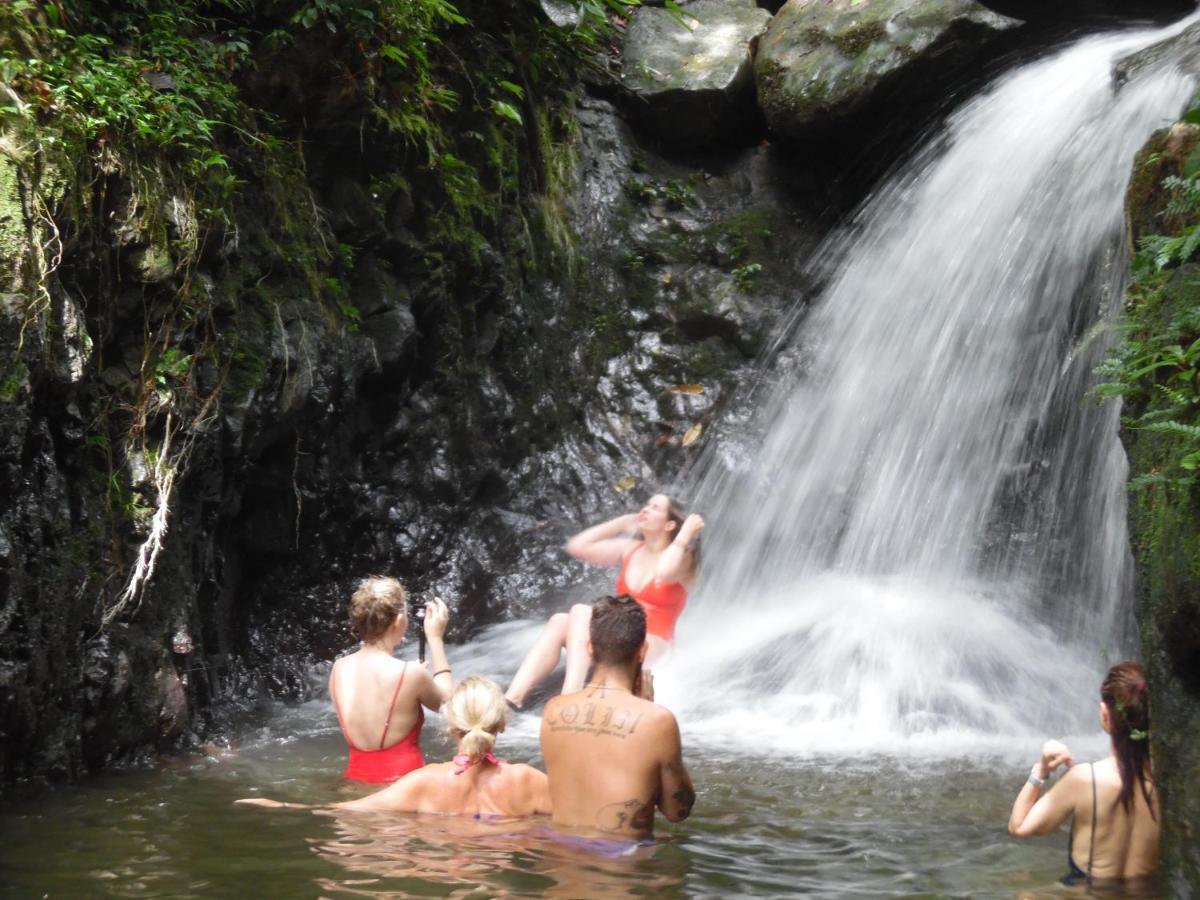 Landbow Green Villa Bukit Lawang Buitenkant foto