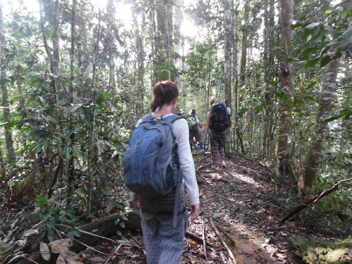Landbow Green Villa Bukit Lawang Buitenkant foto