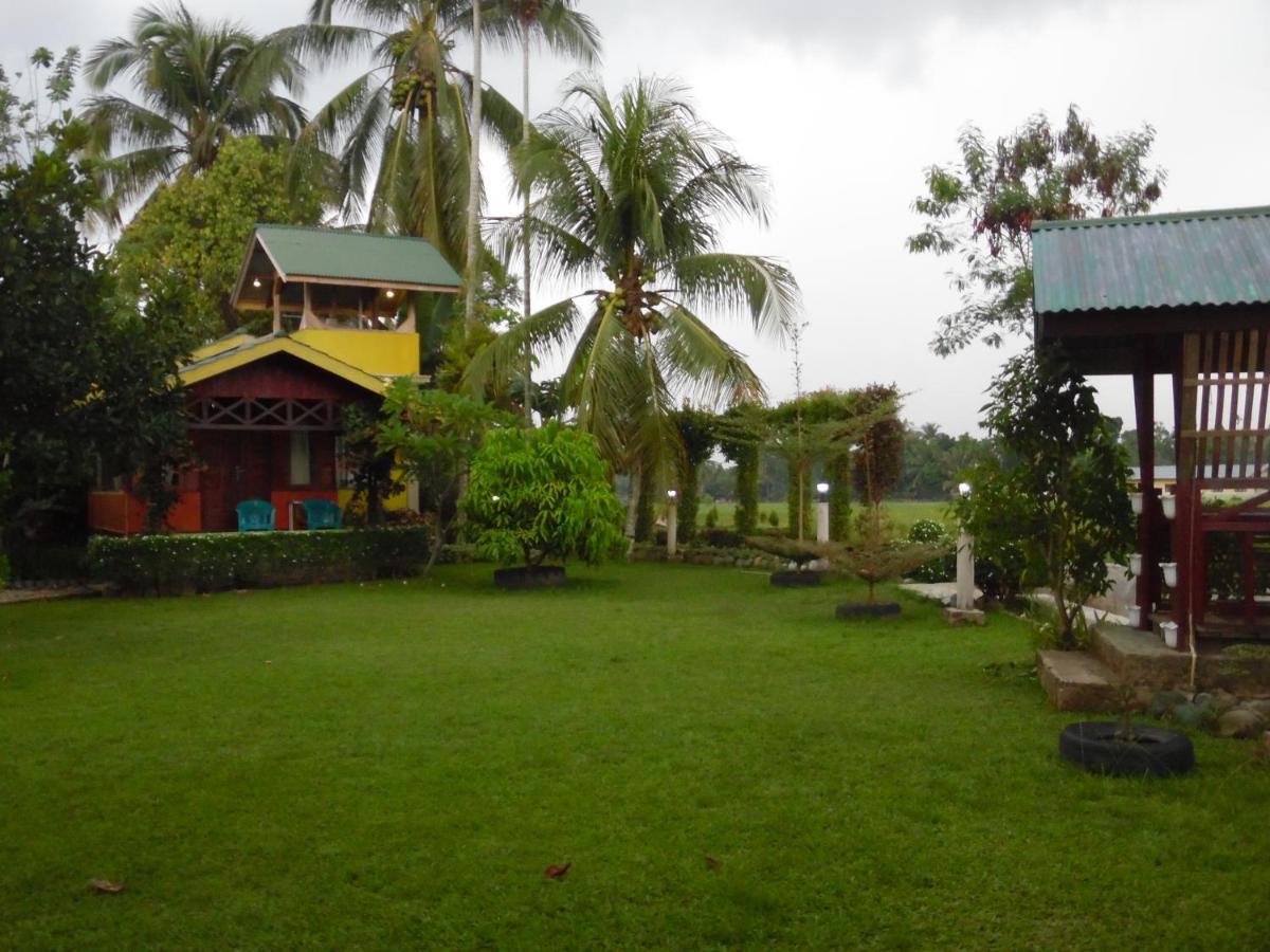 Landbow Green Villa Bukit Lawang Buitenkant foto